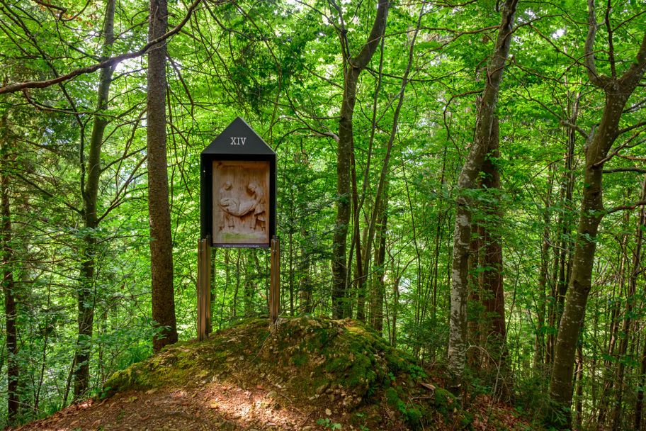 Die Quelltuff-Runde in Lingenau