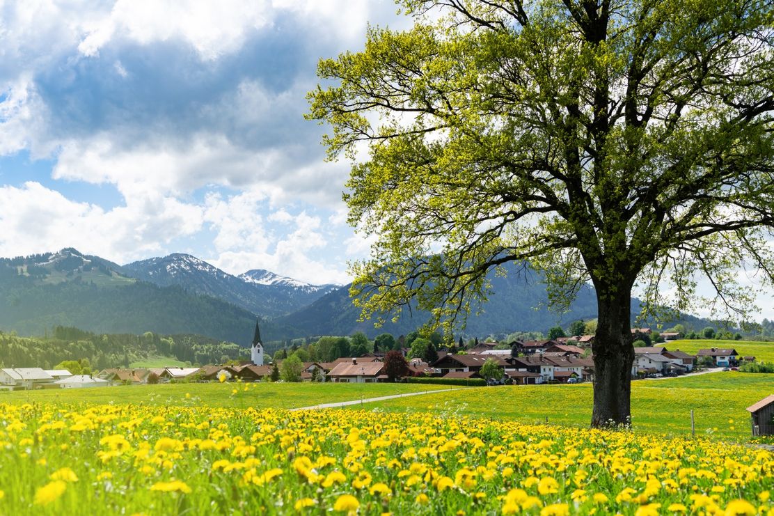 Ein ausgiebiger Spaziergang um das Sennereidorf Untermaiselstein