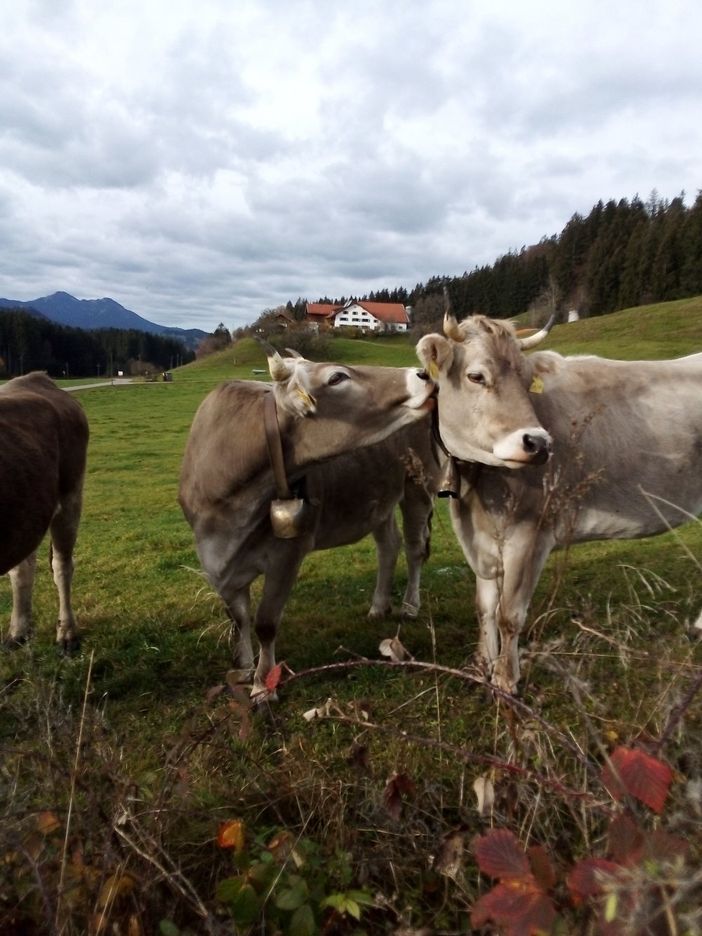 Urlaub in Hebern ist kuhl