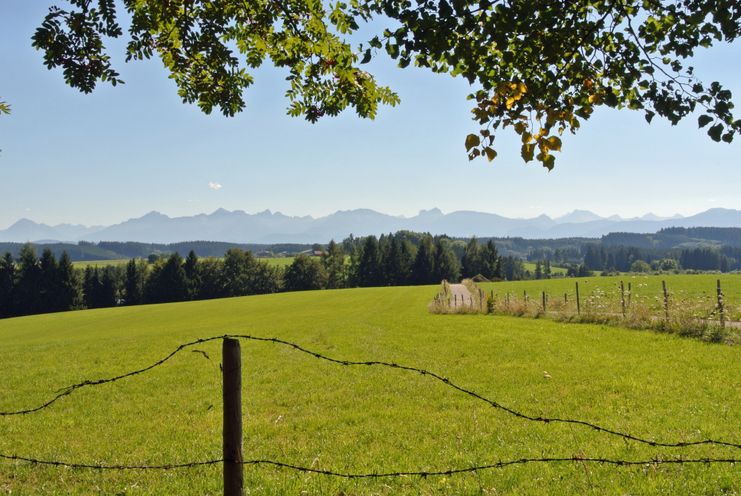 Panoramablick in die Alpen von der Buchel aus