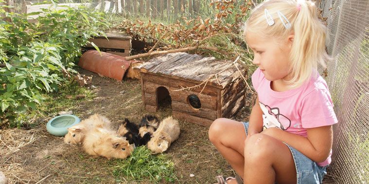 Unsere Streicheltiere