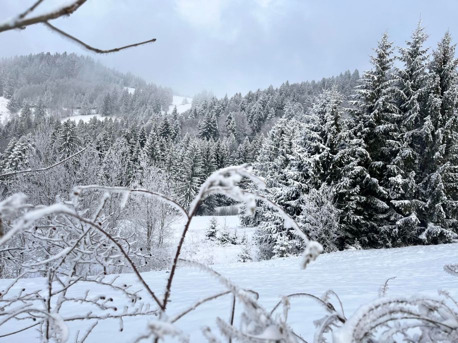 Winterwunderland