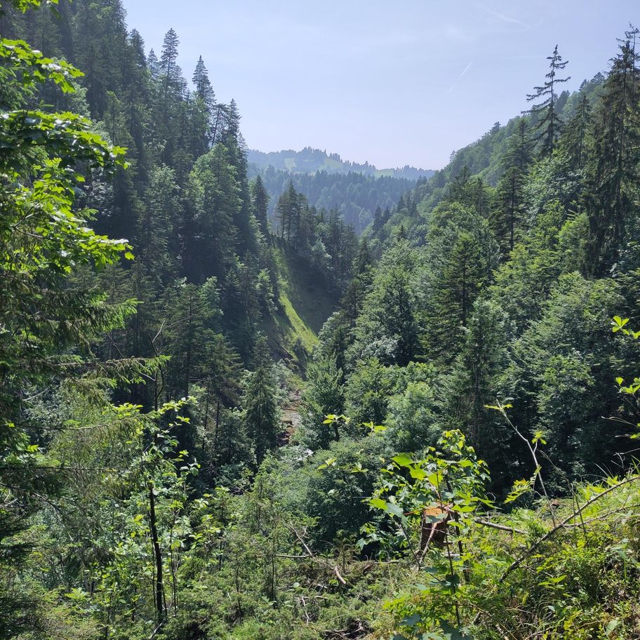 Vom Hündlekopf zu den Buchenegger Wasserfällen