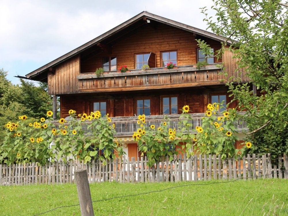 Spätsommer-Stimmung am Biohof Stöger