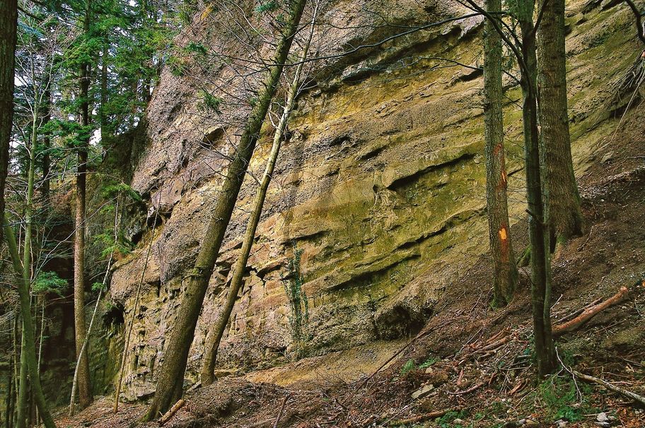 Wasserweg Nummer 9 - Hausbachklamm