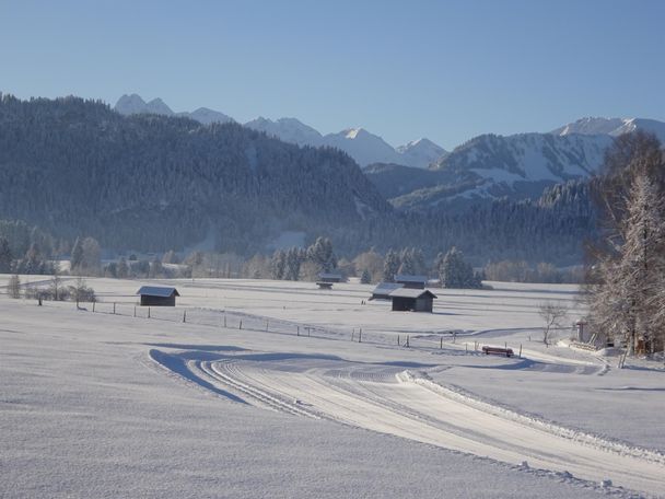 Langlaufen in Bolsterlang