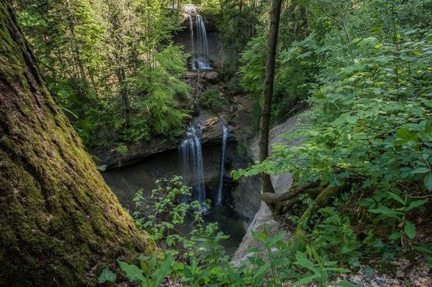 Scheidegger Wasserfall