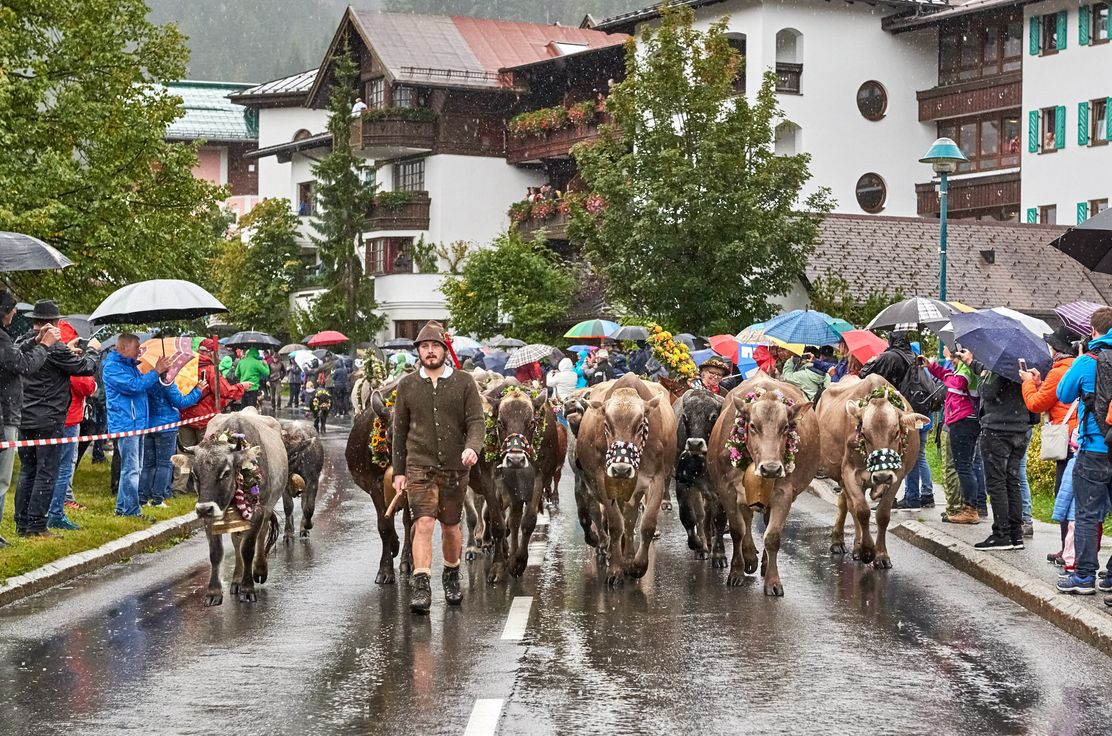 Meurers_Herbst_2017_0499