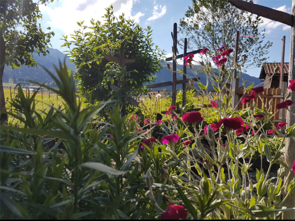 urlaubzumgenieen
