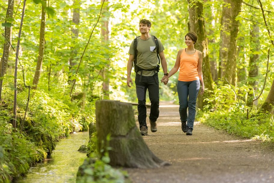 Wandern im Bannwald Ottobeuren
