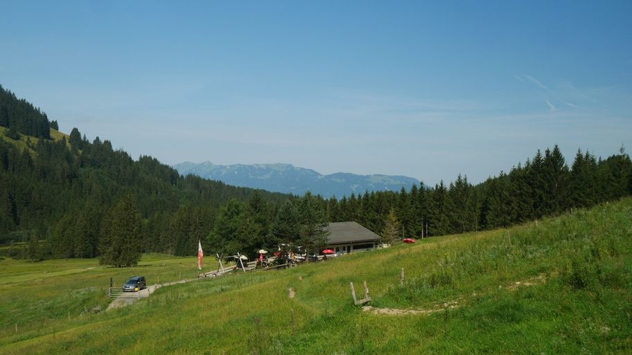 Blick auf die Strausbergalpe