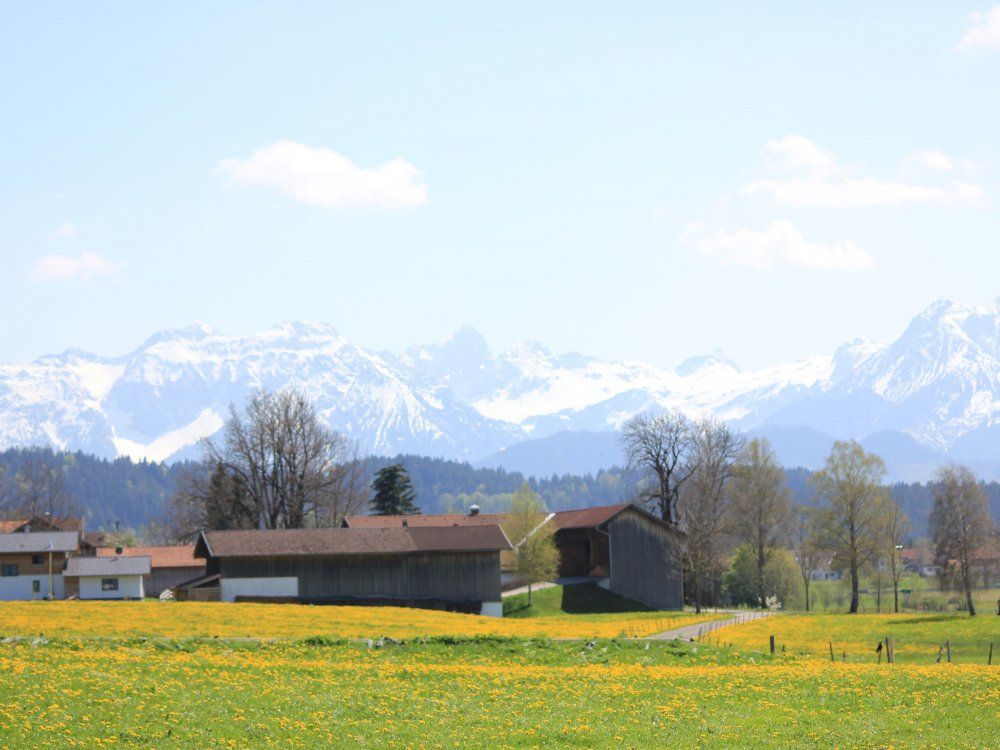 Ausblick vom Milchviehstall