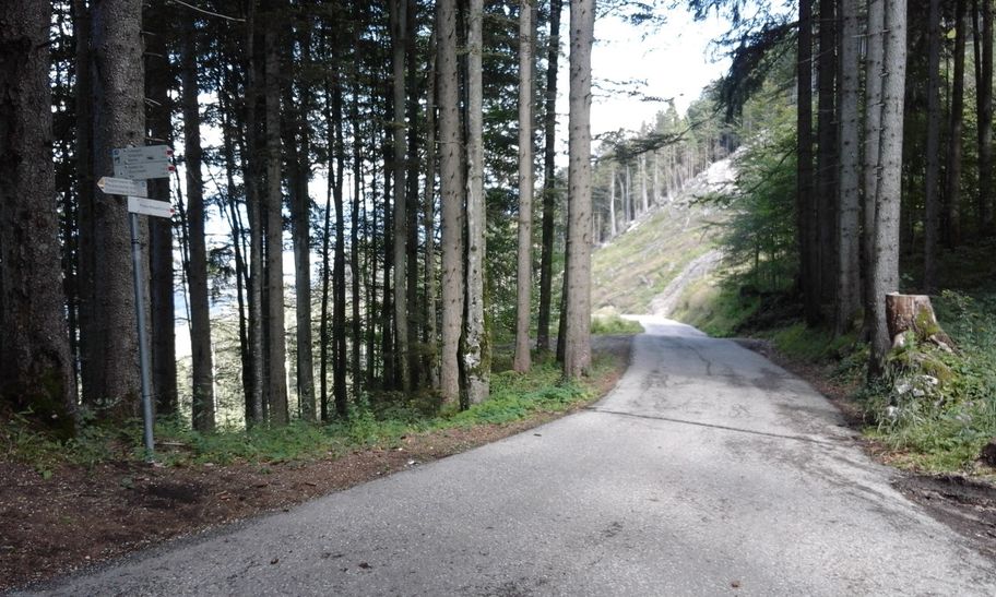 Fahrstraße Richtung Pfronten