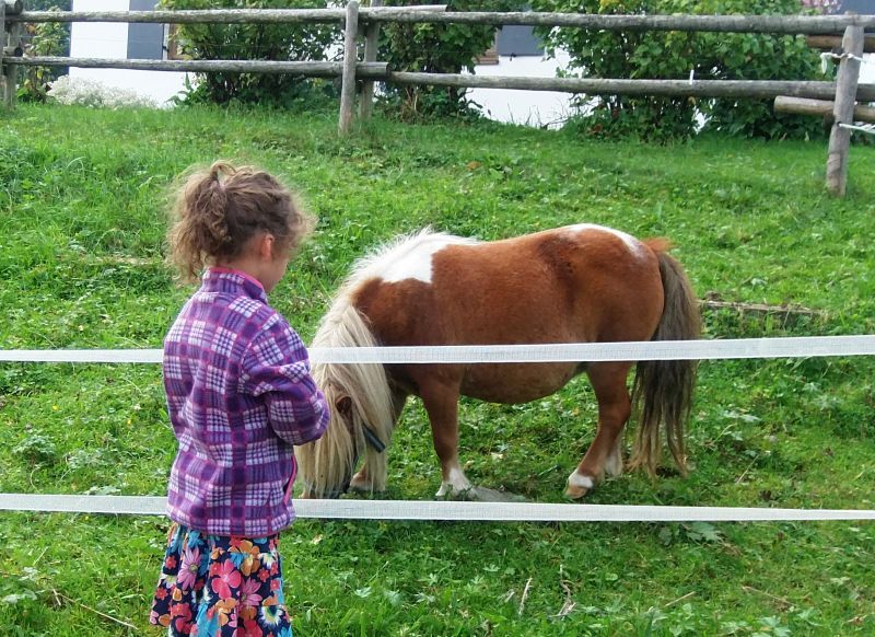 das Pony Nina