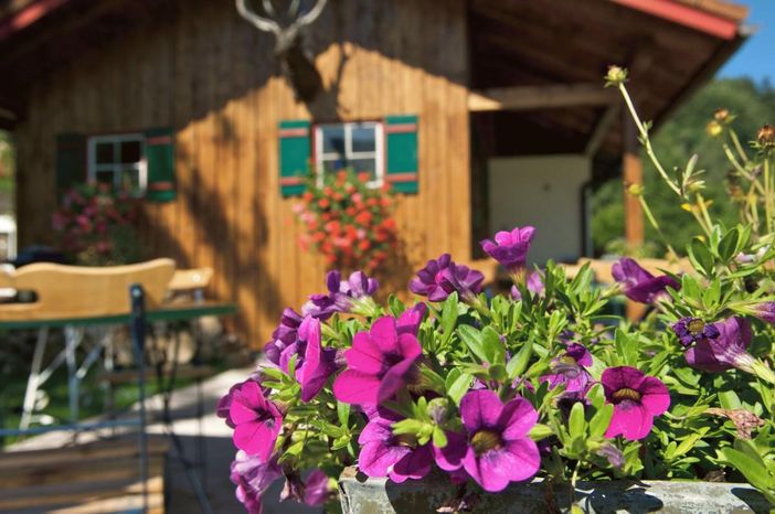 Blumen an der Grillhütte Hotel Mühlenhof