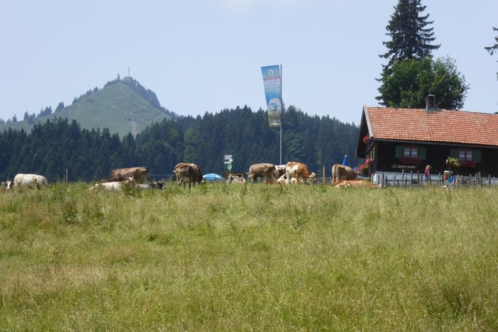 Hausberg