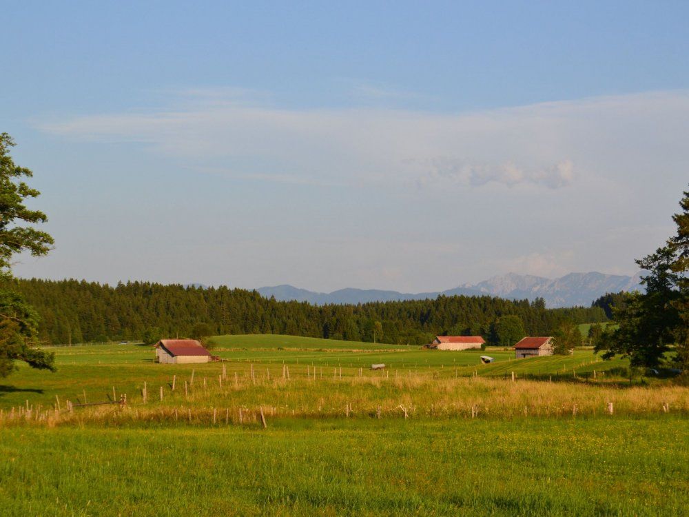 dsc_0009-001