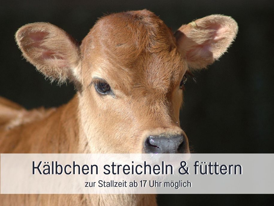 Kälbchen