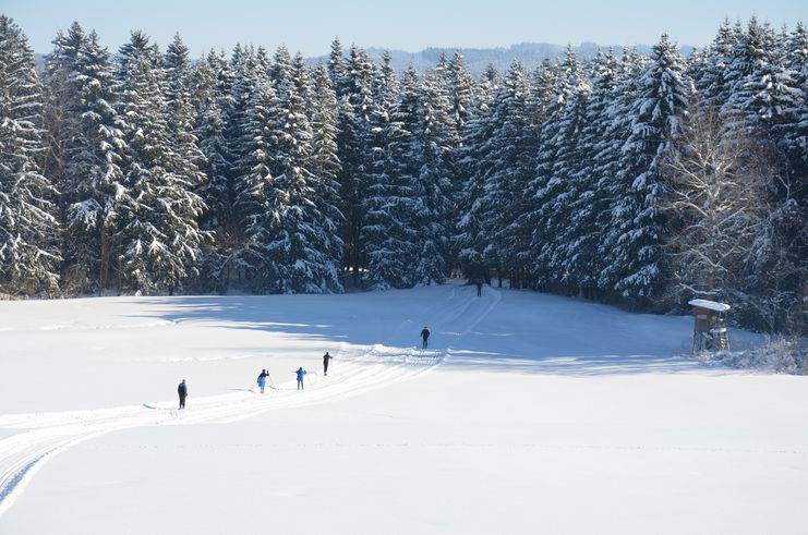 Loipe Märchenwald