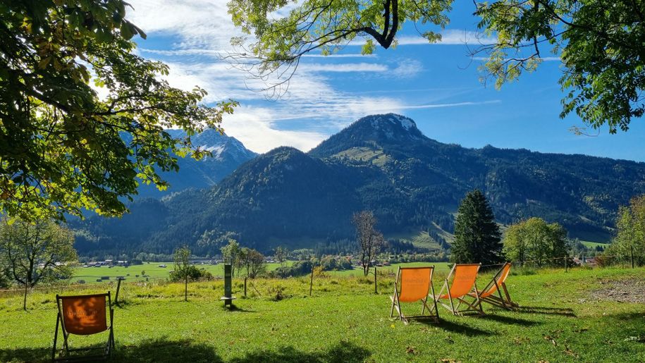 Herbst auf der Polite