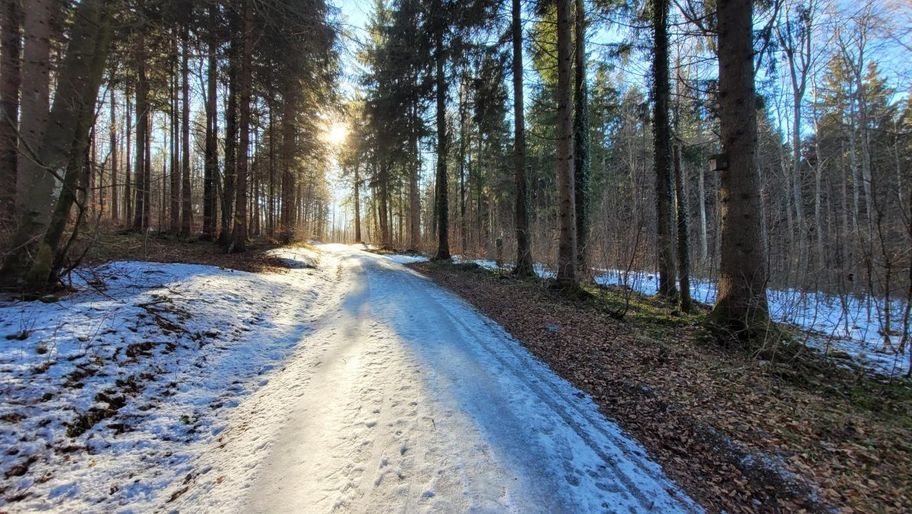 Vogellehrpfad Friesenried