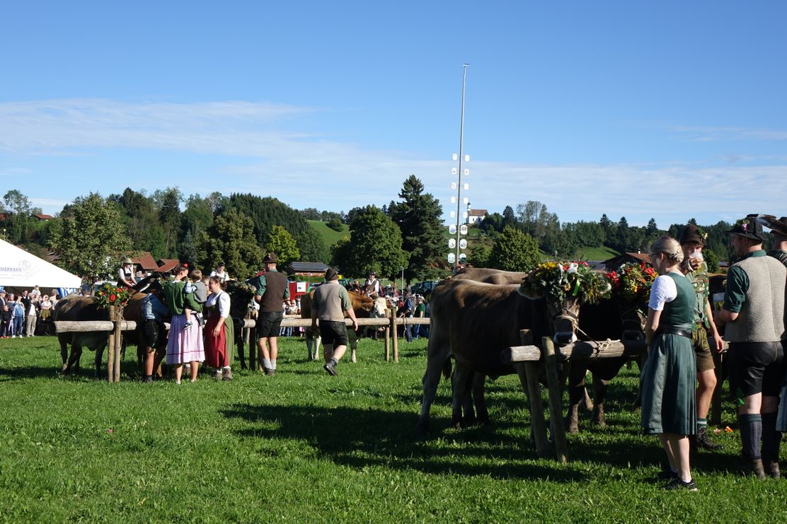 Buchinger Viehmarkt und Buchinger Herbstfest