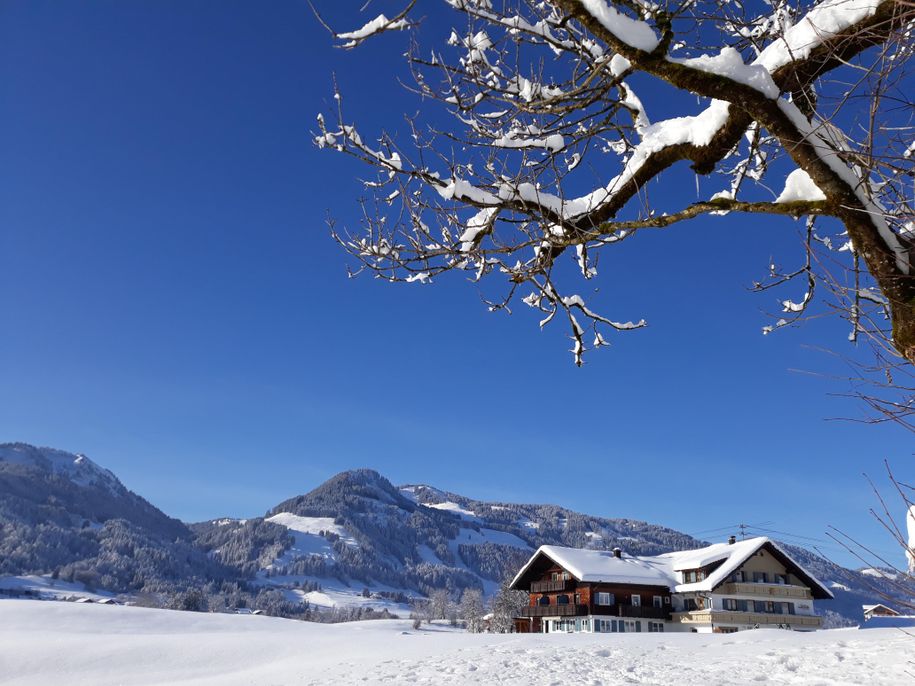 Winterblick