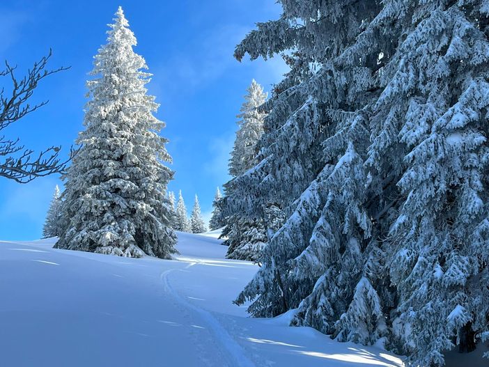 Skitour auf das Immenstädter Horn