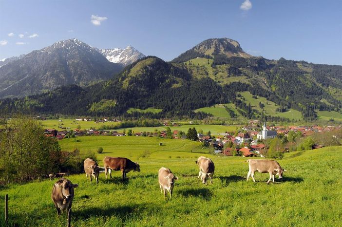 Blick auf Bad Hindelang