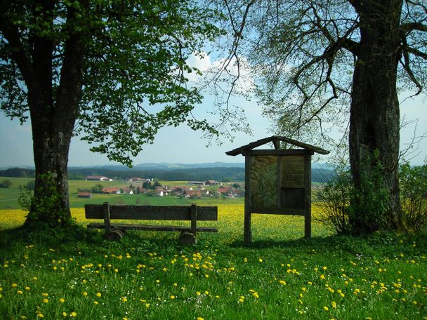 Balterazhofer Höhe