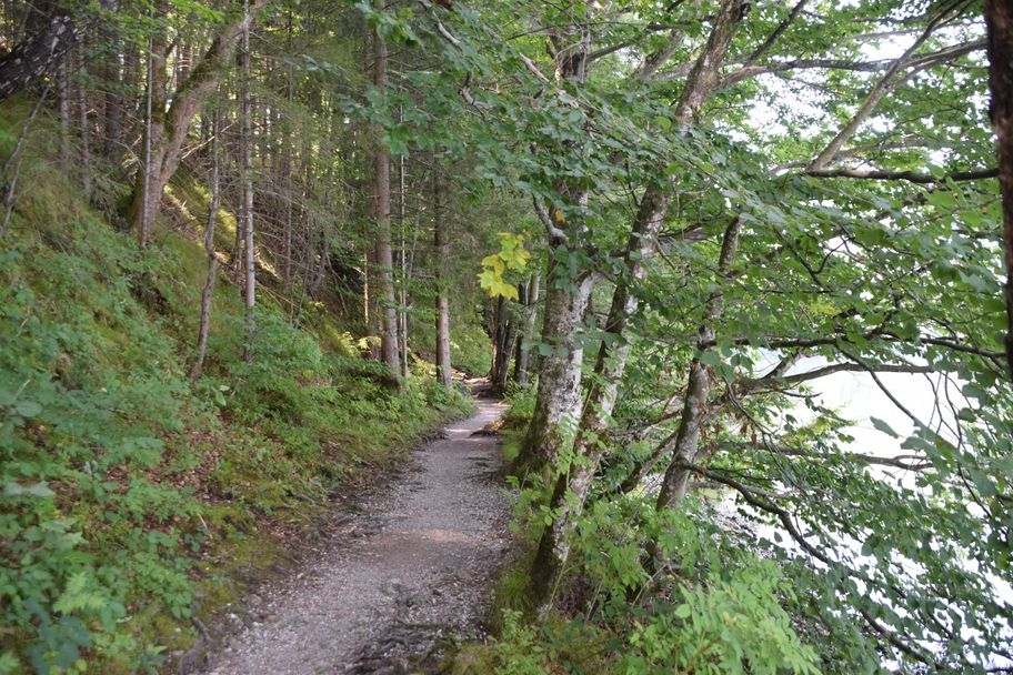 Waldweg entlang des Südufers