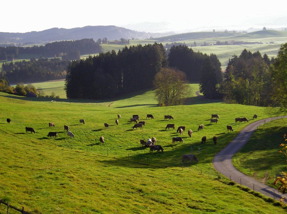 bilderm.herkommer021