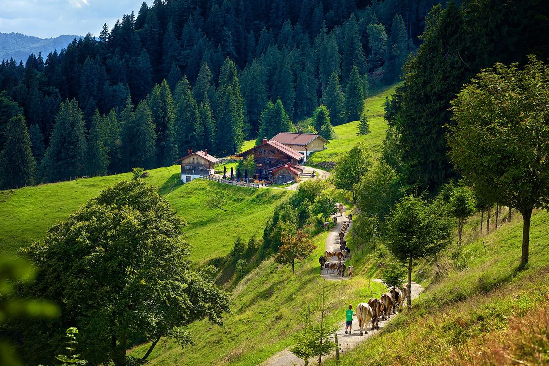 Foto: Tobias Heimplätzer