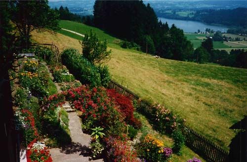 Blick in den Garten