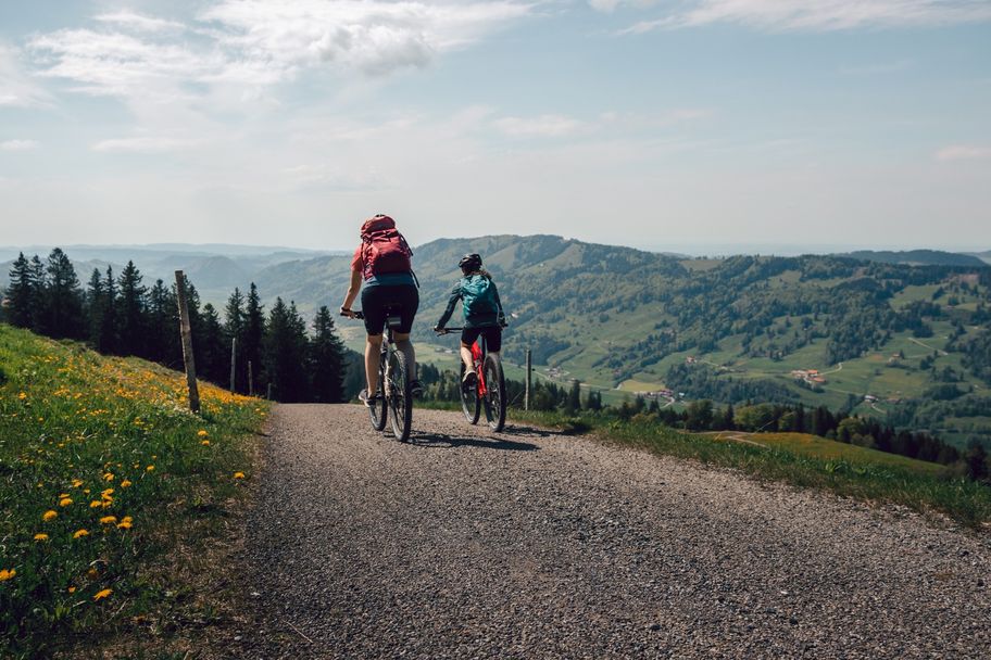 Rund ums Immenstädter Horn