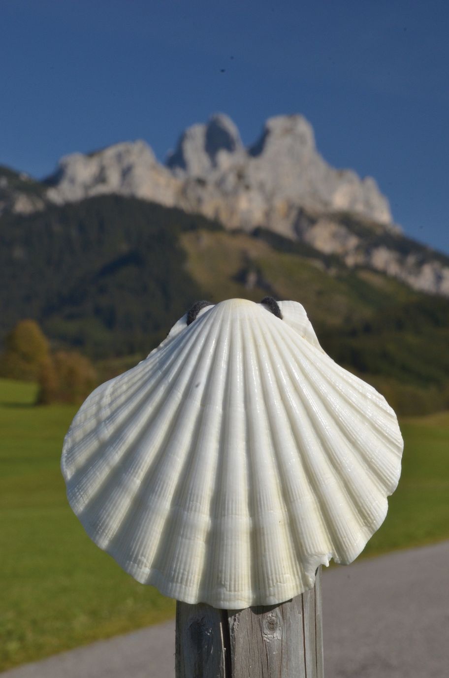 Jakobsweg Tirol-Allgäu