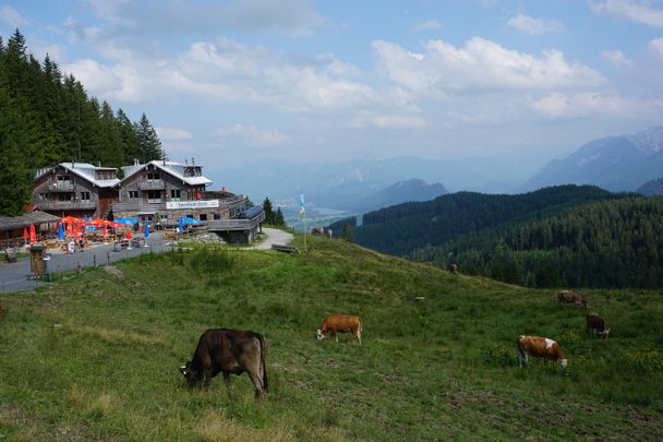Sportheim Böck
