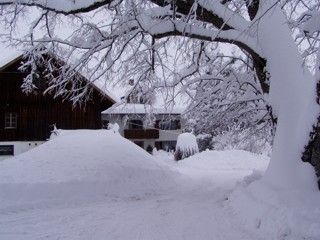 Freuen Sie sich auf einen Winterurlaub bei uns