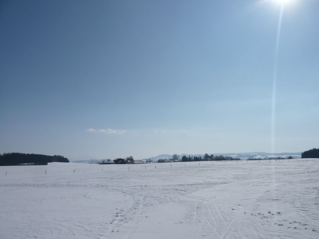 Winterlandschaft an der Loipe Reicholzried (2)