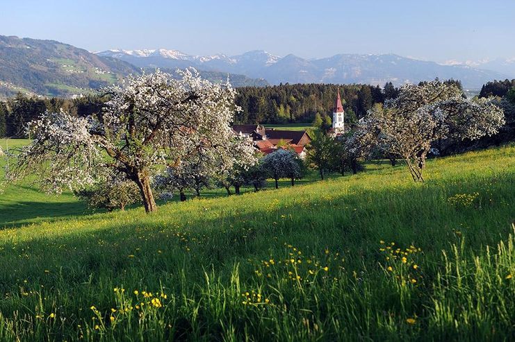 Blick ins Leiblachtal