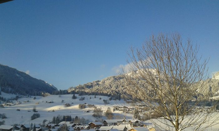 Ausblick