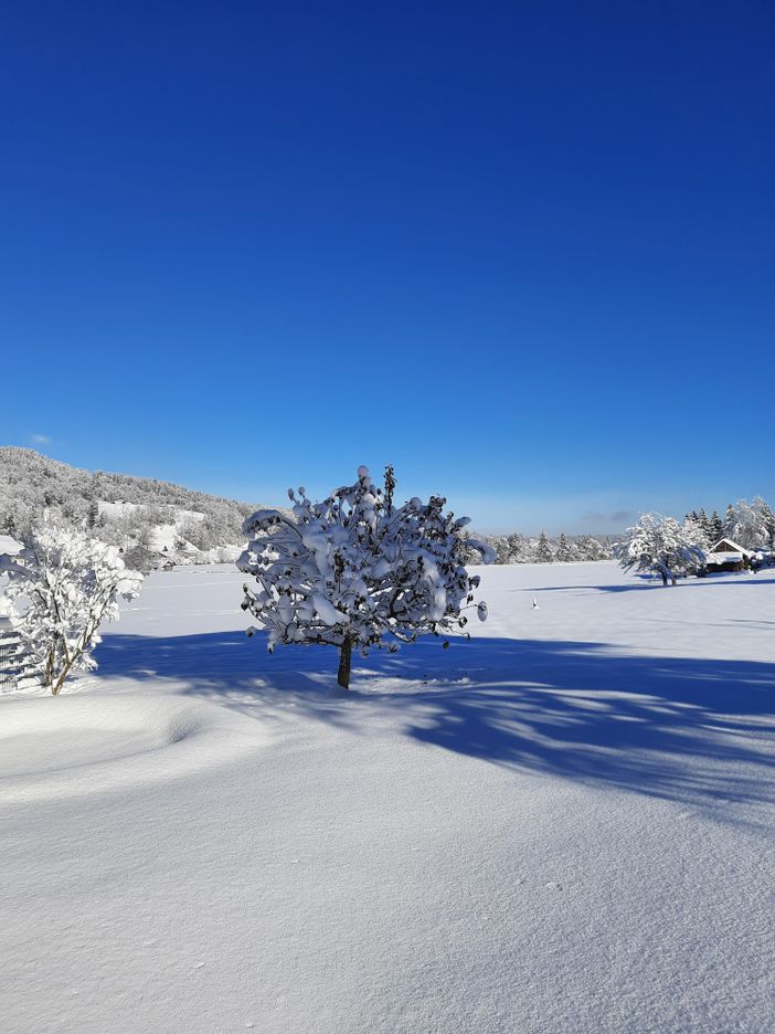 Verschneite Winterlandschaft