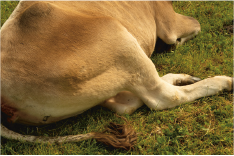 nicolareiter_2021 (2)