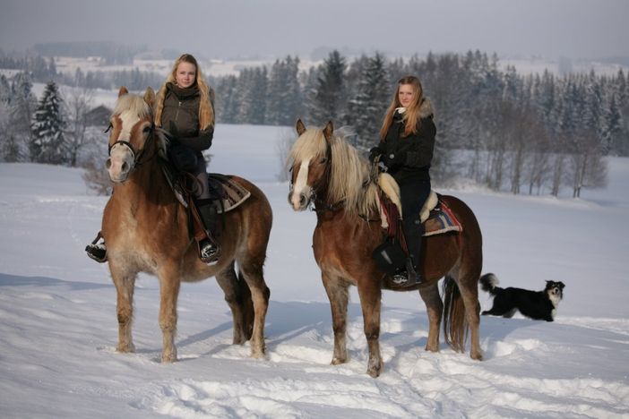 Reiten im Schnee