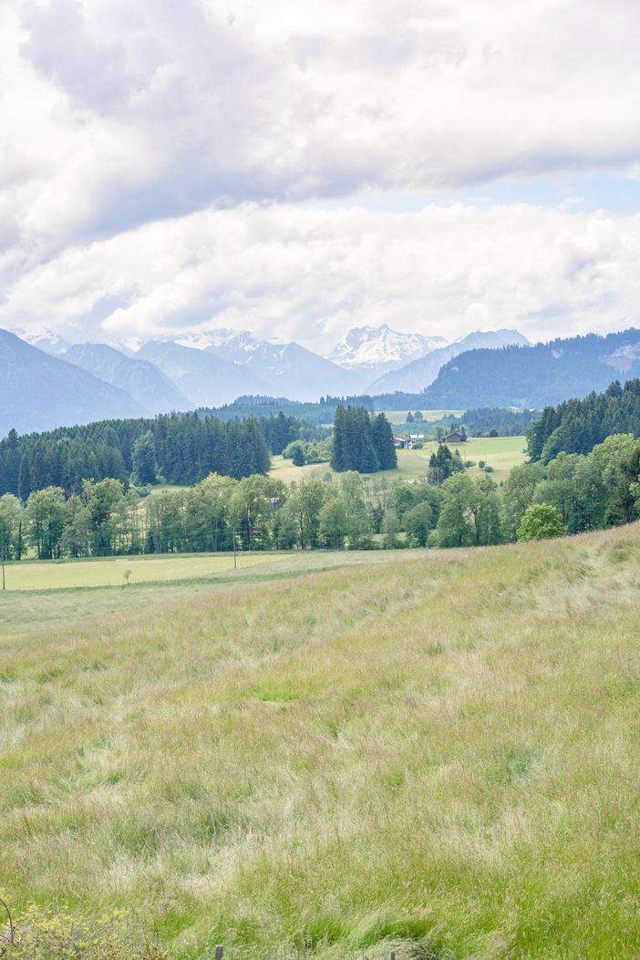 Ausblick