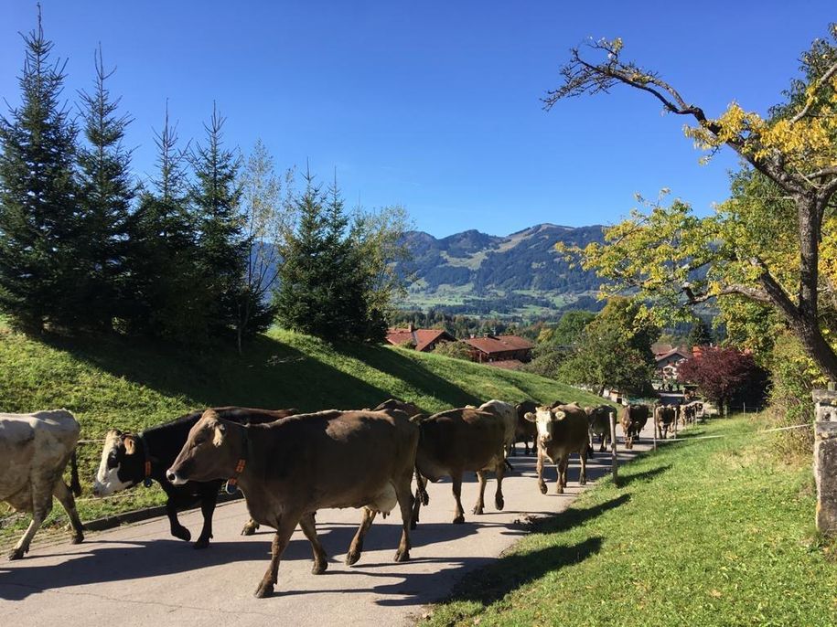 Landwirtschaft in Hochweiler