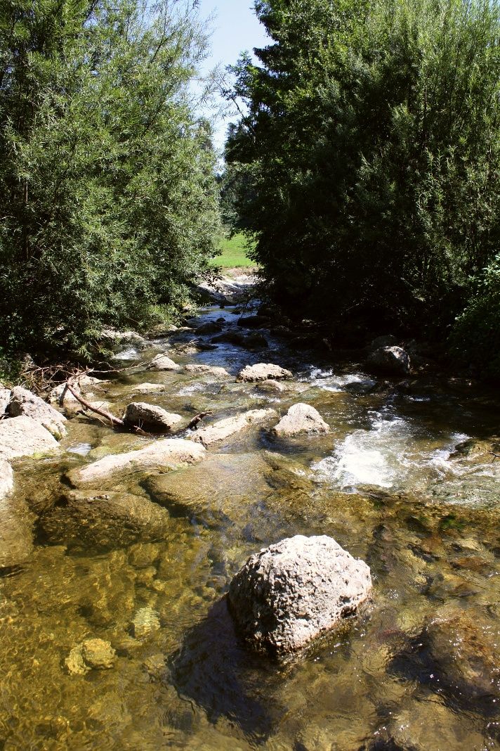 Am Tobelbach