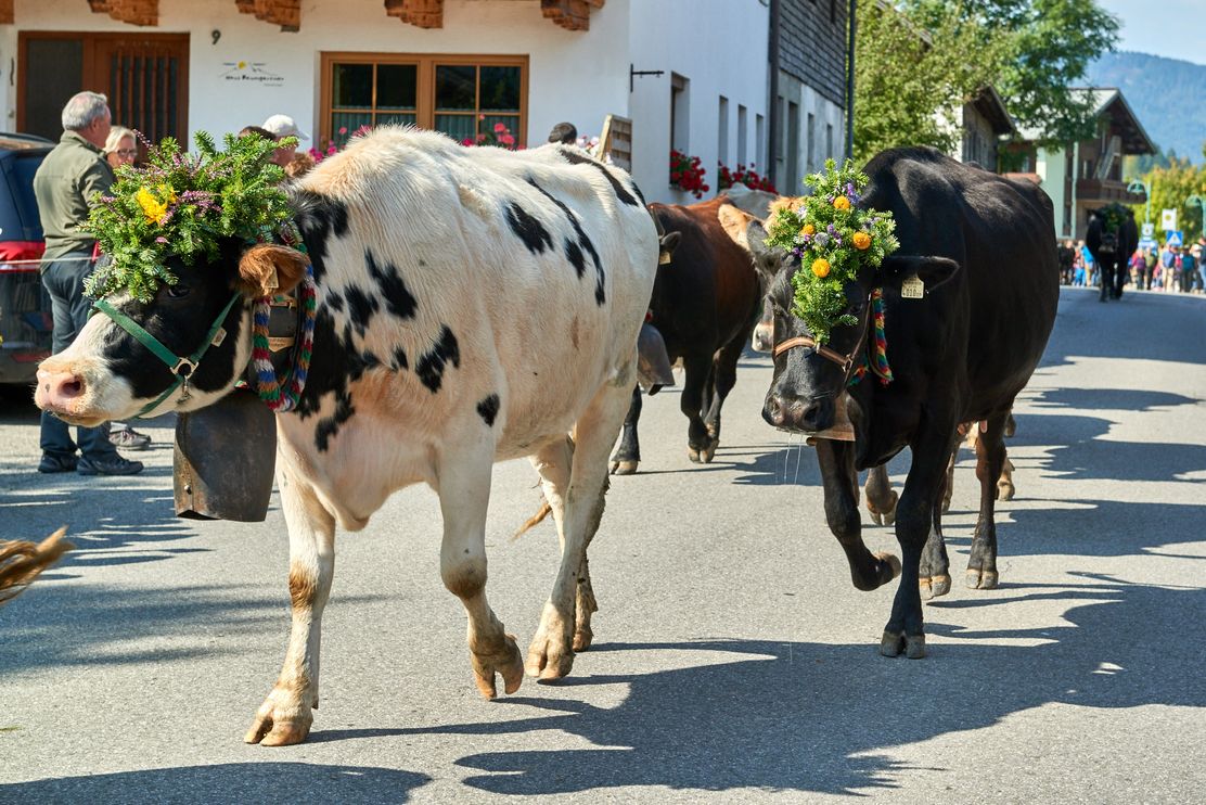 Meurers_Herbst_2017_0874