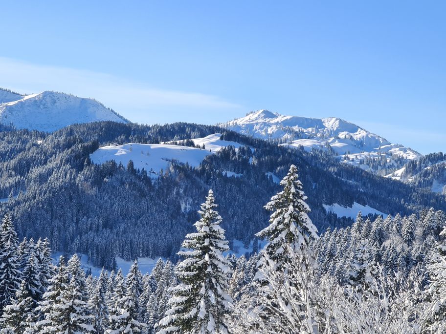 Schneeschuhtour auf den Mittagberg