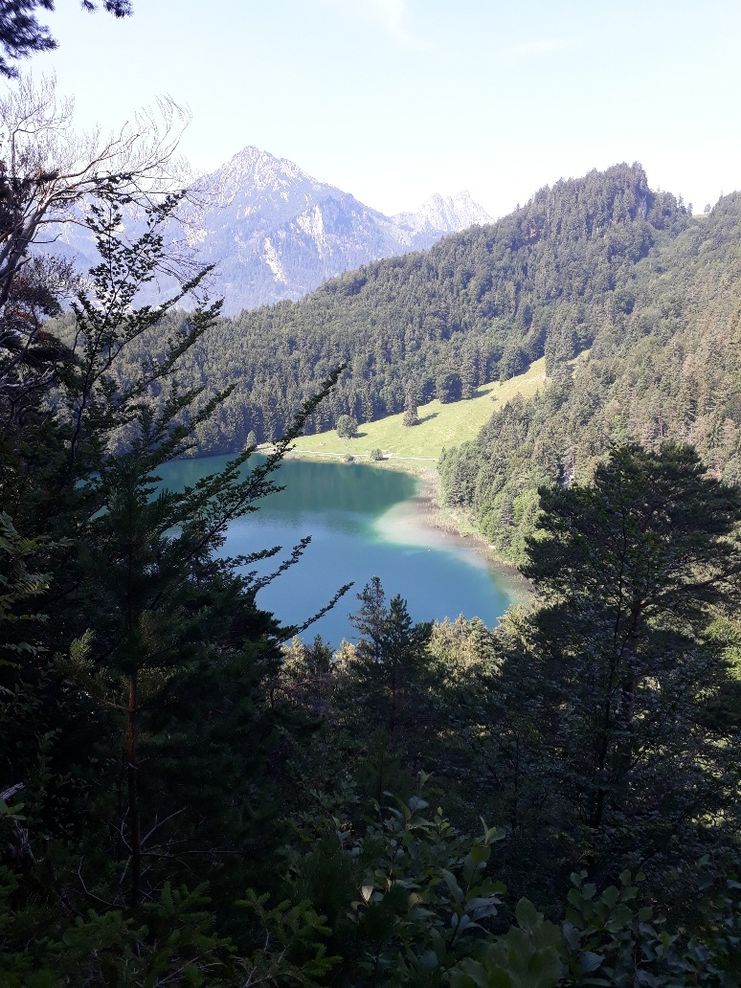 Blick auf den Alatsee vom Zwei-Seen-Blick